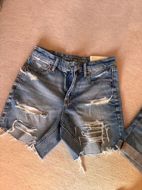 American Eagle Outfitters Ripped Light Blue Denim Cutoff Shorts